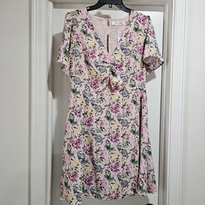 Floral Mini Dress with V-Neck